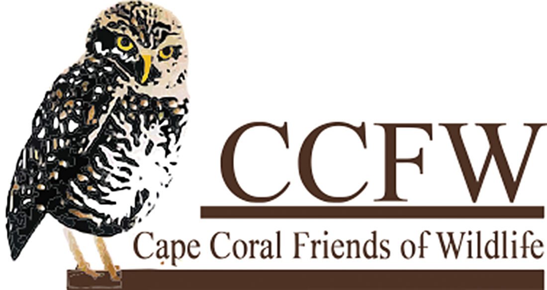 Cape Coral Friends of Wildlife Q&A News, Sports, Jobs Cape Coral Breeze